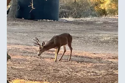 12139 Brandy Lane, Burson, CA 95225 - Photo 20