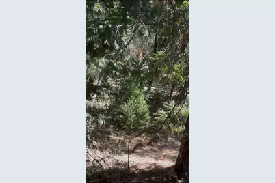 15234 Stormy Lane, Glencoe, CA 95232 - Photo 18