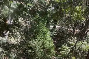 15234 Stormy Ln, Glencoe, CA 95232 - Photo 18