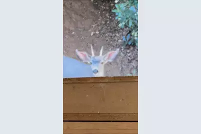 15234 Stormy Lane, Glencoe, CA 95232 - Photo 16