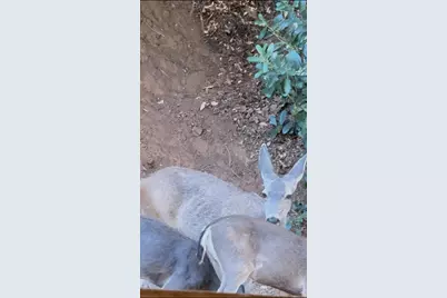 15234 Stormy Lane, Glencoe, CA 95232 - Photo 14