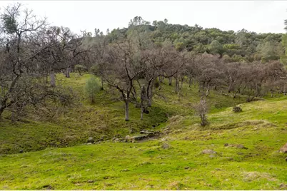 0 Skunk Gulch Road, Vallecito, CA 95251 - Photo 42