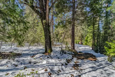 4801 Blue Mountain Road, Wilseyville, CA 95257 - Photo 4