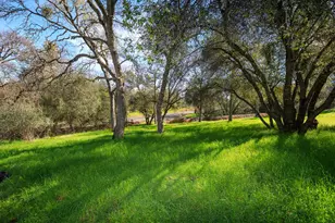 10347 Narciso Way, Coulterville, CA 95311 - Photo 60