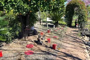 9556 Banderilla Dr, La Grange, CA 95329 - Photo 46