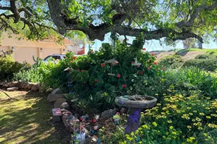 9556 Banderilla Dr, La Grange, CA 95329 - Photo 58