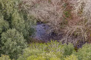 13890 Shake Ridge Rd, Sutter Creek, CA 95685 - Photo 58