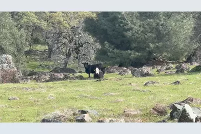 0 Walsh Lane, Smartsville, CA 95977 - Photo 14