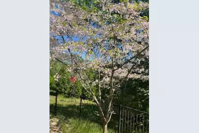 3101 Cribbs Court, Placerville, CA 95667 - Photo 56