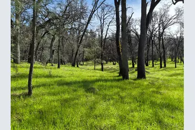 7411 Riverbend Drive, Placerville, CA 95667 - Photo 14