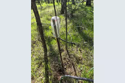 7411 Riverbend Drive, Placerville, CA 95667 - Photo 8