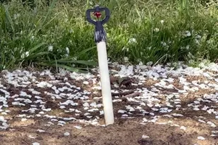 18413 Sycamore Ave, Patterson, CA 95363 - Photo 98