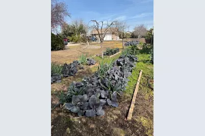 18413 Sycamore Avenue, Patterson, CA 95363 - Photo 90