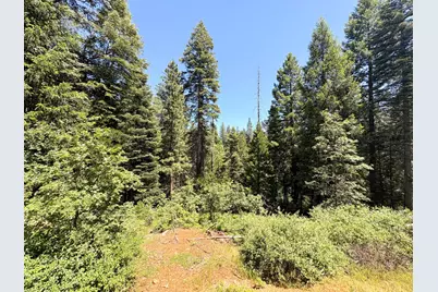 14666 Woolford Mill Road, Nevada City, CA 95959 - Photo 8