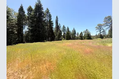 14666 Woolford Mill Road, Nevada City, CA 95959 - Photo 6