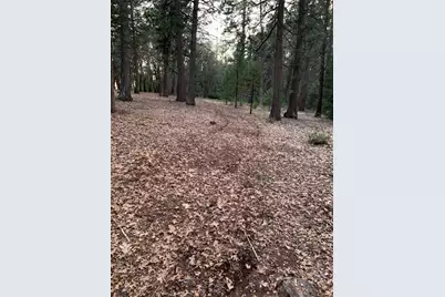 10441 Rim Rock Lane, Nevada City, CA 95959 - Photo 28