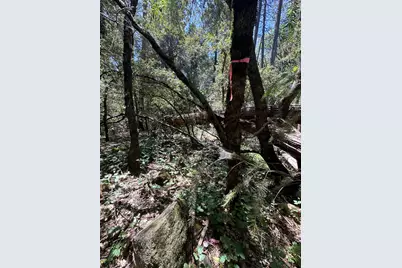 10441 Rim Rock Lane, Nevada City, CA 95959 - Photo 36