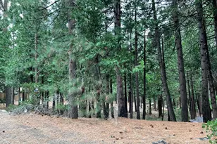 3065 Apache Rd, Arnold, CA 95223 - Photo 1