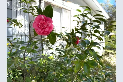 Creek View Ln, Placerville, CA 95667 - Photo 18