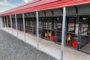 5557 Everglade Trail, Browns Valley, CA 95918 - Photo 18