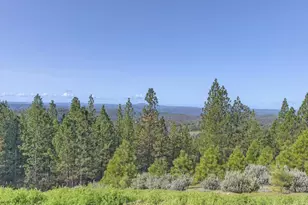 5901 Traverse Creek Rd, Garden Valley, CA 95633 - Photo 96