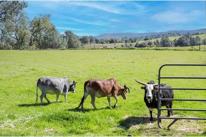 3081 Little Spur, Somerset, CA 95684 - Photo 78