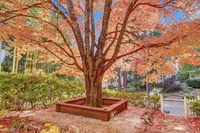 432 S Pine Street, Nevada City, CA 95959 - Photo 2