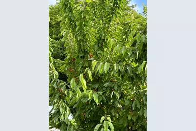 Lake Road #74, West Sacramento, CA 95691 - Photo 32