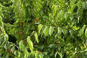 Lake Rd, West Sacramento, CA 95691 - Photo 32