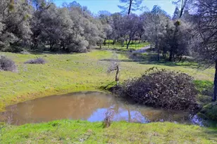 17394 Indian Springs Ranch Rd, Grass Valley, CA 95949 - Photo 60
