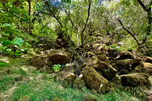 14988 Lakefront Dr, Jamestown, CA 95327 - Photo 32