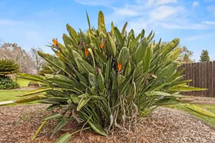 4361 Dresser Rd, Yuba City, CA 95993 - Photo 62