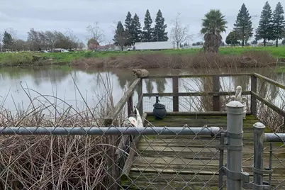 Lake Road #197, West Sacramento, CA 95691 - Photo 38