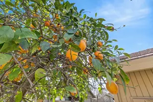 2129 Promontory Point Ln, Rancho Cordova, CA 95670 - Photo 48