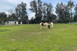 28108 Thornton Rd, Thornton, CA 95632 - Photo 2