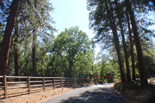 901 Bald Mountain Rd, West Point, CA 95255 - Photo 1