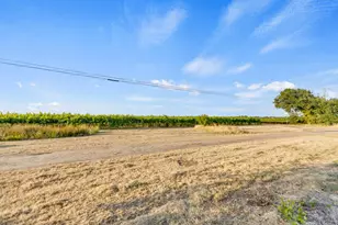 53200 S River Rd, Clarksburg, CA 95612 - Photo 40