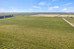 53140 S River Rd, Clarksburg, CA 95612 - Photo 60