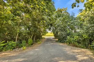 53140 S River Rd, Clarksburg, CA 95612 - Photo 50