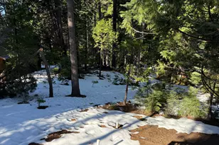 392 Boards Crossing Rd, Arnold, CA 95223 - Photo 24