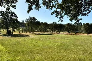 4703 Doe St, Shingle Springs, CA 95682 - Photo 2