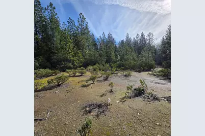 6721 Eaton Road, Georgetown, CA 95634 - Photo 4