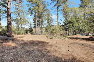 11595 Miller Peak Rd, Oroville, CA 95965 - Photo 46