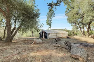 11595 Miller Peak Rd, Oroville, CA 95965 - Photo 44