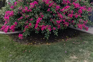 3947 Finch Ct, Merced, CA 95340 - Photo 60