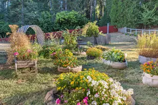 549 Glenwood Rd, Grass Valley, CA 95945 - Photo 58