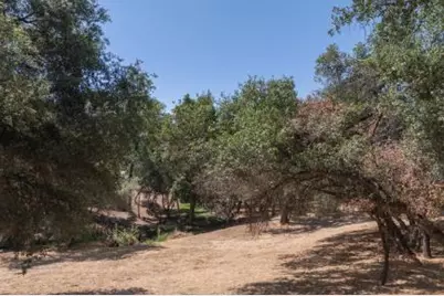 336 Catalpa Lane, Angels Camp, CA 95222 - Photo 18