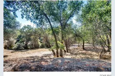 336 Catalpa Lane, Angels Camp, CA 95222 - Photo 4