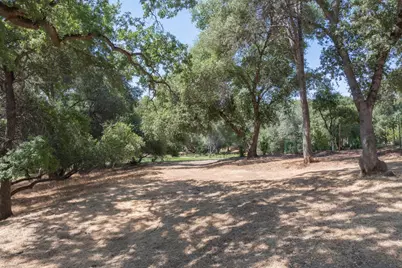 336 Catalpa Lane, Angels Camp, CA 95222 - Photo 12