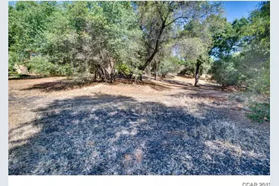 336 Catalpa Lane, Angels Camp, CA 95222 - Photo 10